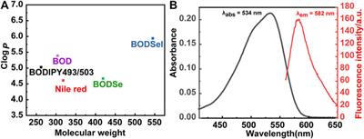 A Novel Photosensitizer for Lipid Droplet–Location Photodynamic Therapy